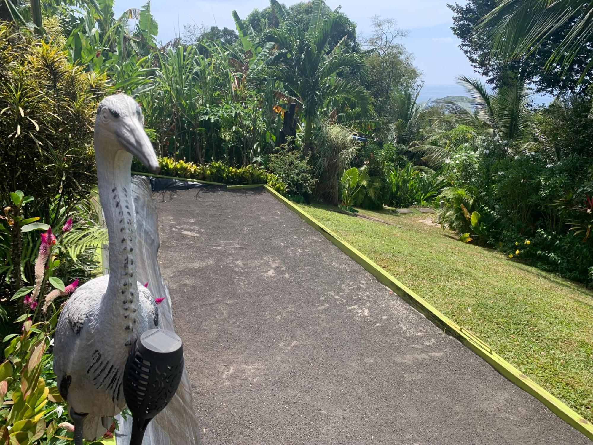 Les Ilets Caraibes Vue Mer Bouillante Buitenkant foto